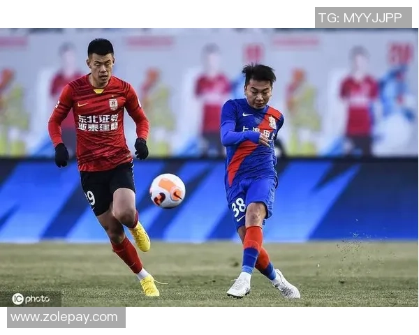 深入探讨上海网球队的实力与表现数据分析及其影响因素